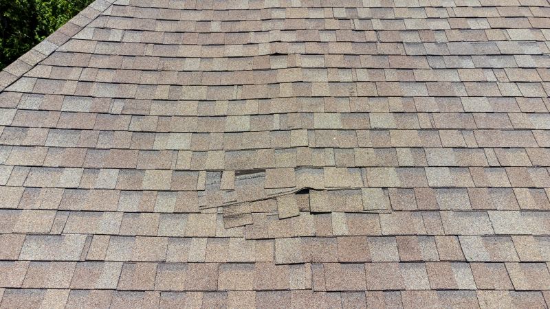 Asphalt Roof Inspection in Keyser, WV