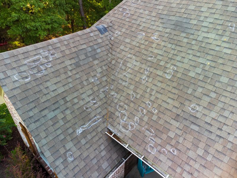 Asphalt Roof Inspection in Oakland, MD