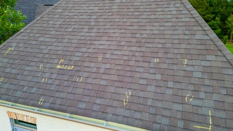 Asphalt Roof Inspection in Swanton, MD