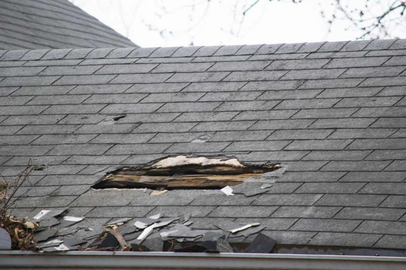 Asphalt Roof Leak Repair in Oakland, MD