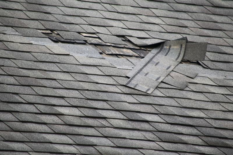 Asphalt Roof Repair in Friendsville, MD