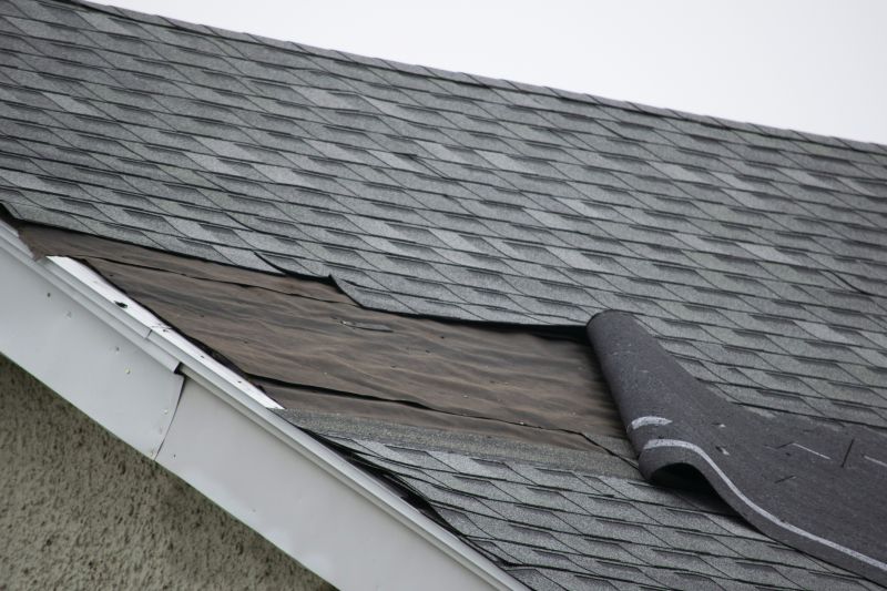 Asphalt Shingles Repair in Garrett County, MD