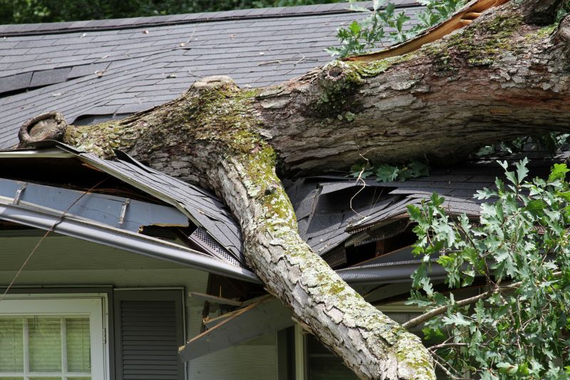 Collapsing Roof Repair in Oakland, MD