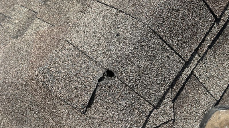 Damaged Roof Repair in Davis, WV