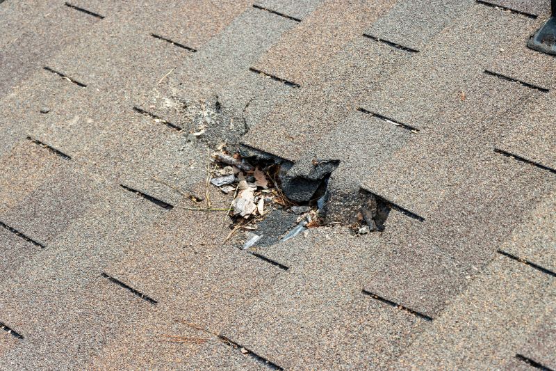 Damaged Roof Replacement in Garrett County, MD