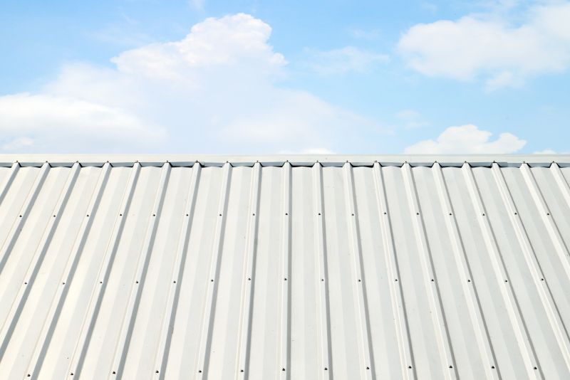 Metal Roof Coating Service in Oakland, MD