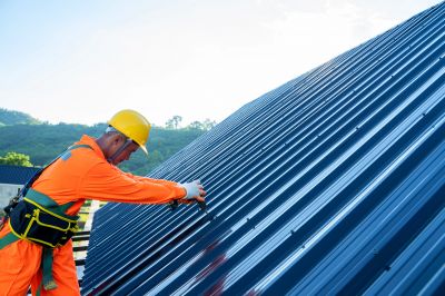 Metal Roof Repair in Davis, WV