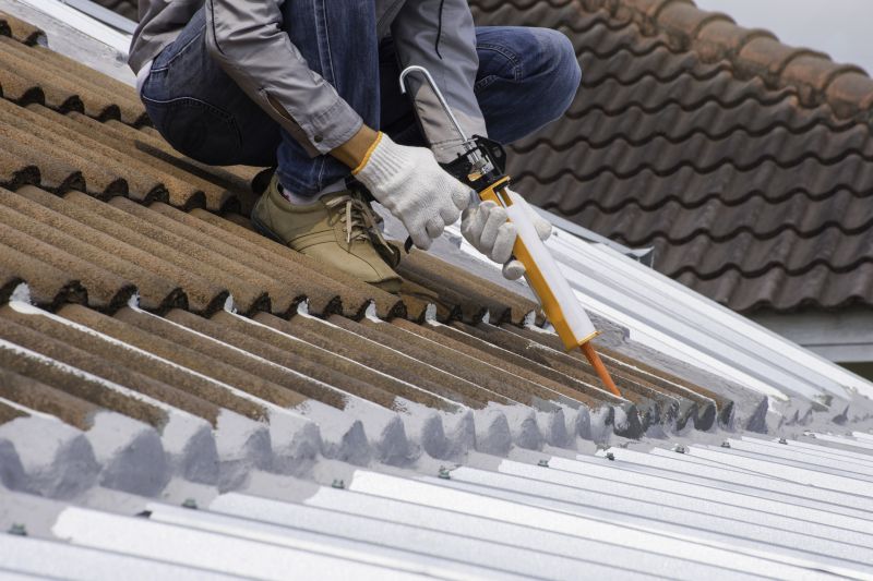 Metal Roof Sealing in Oakland, MD