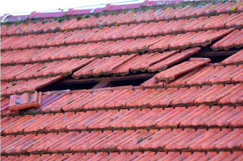 Roof Damage Inspection in Keyser, WV