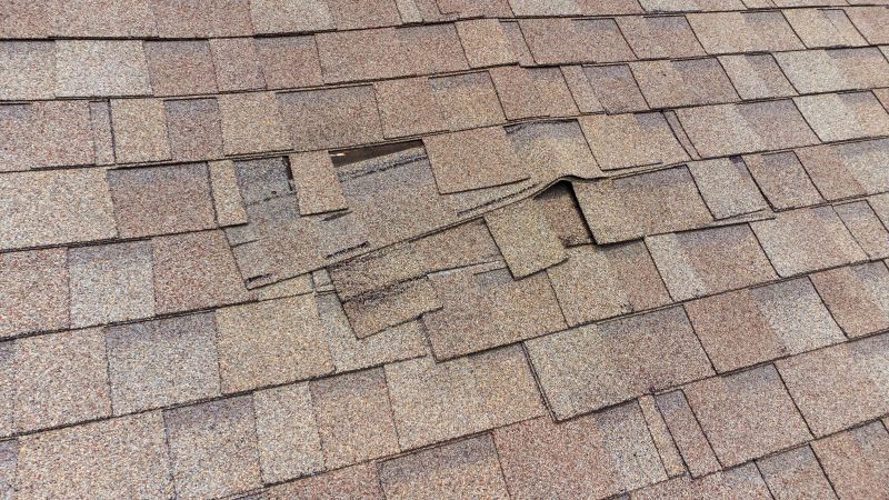 Roof Hail Damage Repair in Oakland, MD