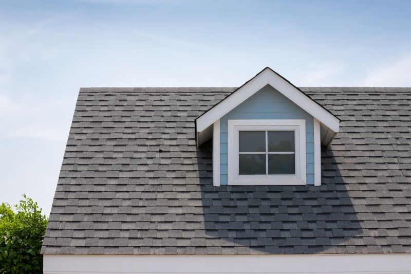 Roof Patching Service in Oakland, MD