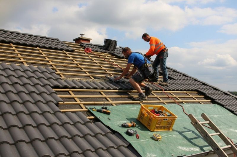 Spanish Tile Roof Repair in Oakland, MD