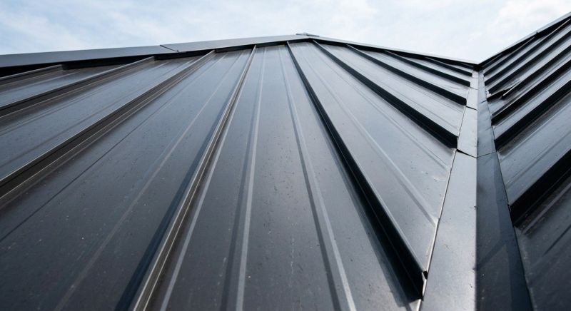 Standing Seam Roof Repair in Oakland, MD