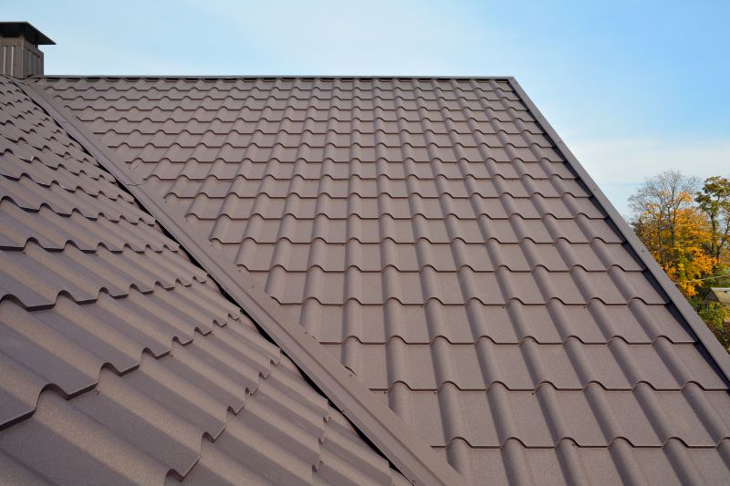 Tin Roof Installation in Preston County, WV