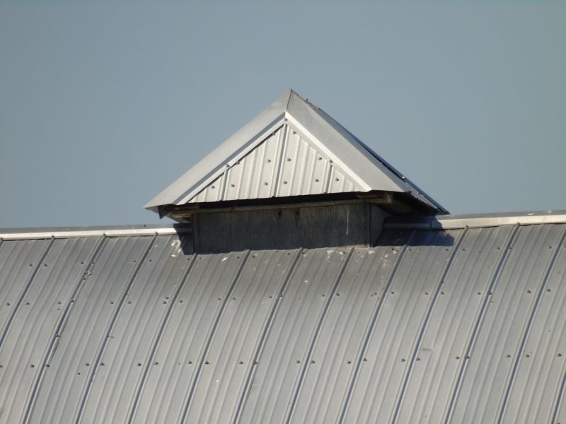 Tin Roof Installation in Swanton, MD