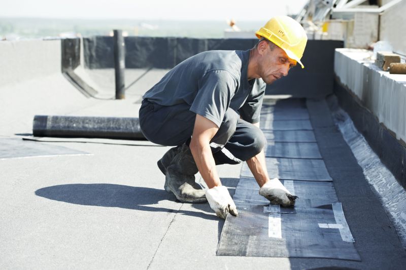 Tpo Roof Repair in Preston County, WV