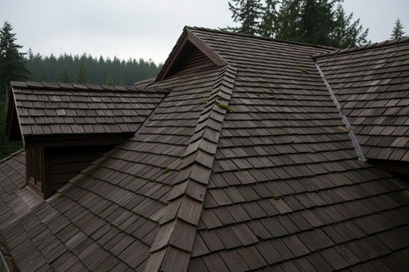 Wood Shake Roof Replacement in Friendsville, MD